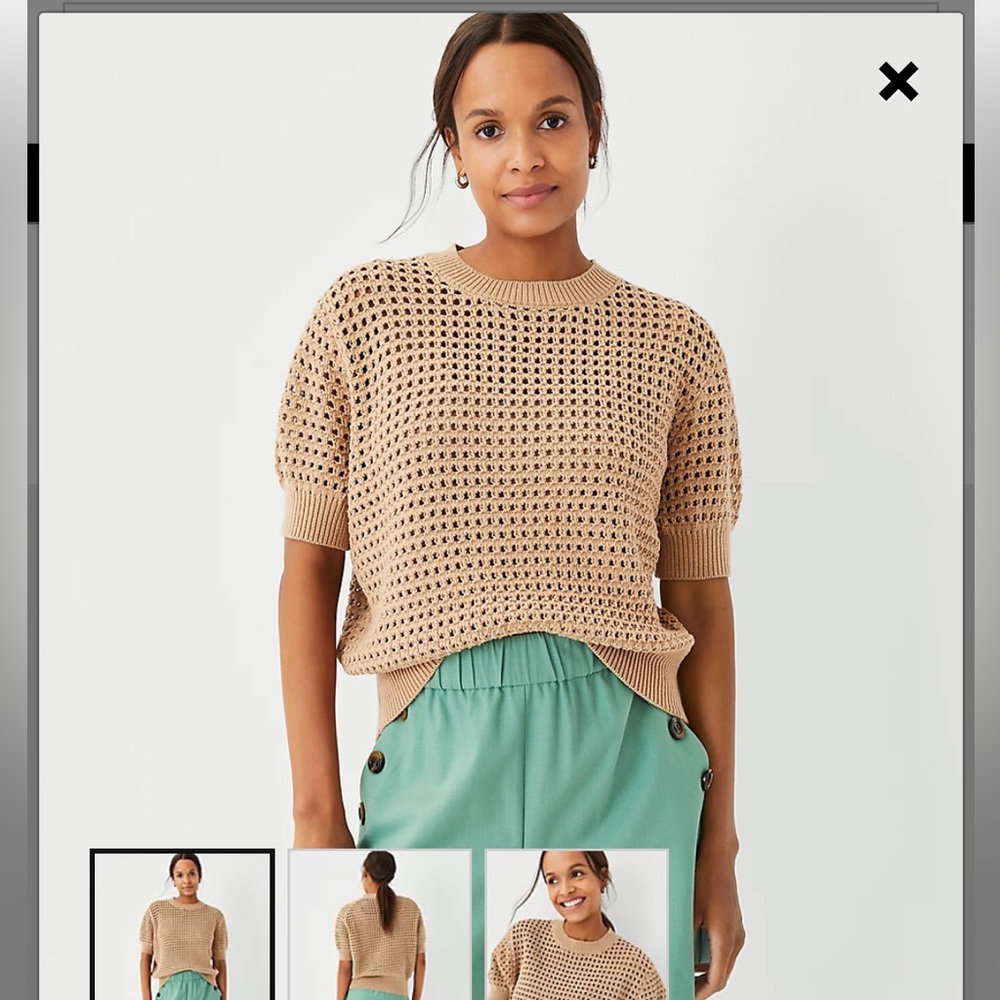 Ann Taylor Crocheted Short Sleeve Sweater (NWT)